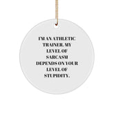 Funny Athletic Trainer Gifts, Sarcasm Circle Ornament for Christmas, Gifts from Family to Friends, Gifts for Athletic Trainer, Inspirational Quote Ornament - Image 1